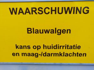 117105476_3306899952686870_9129398814849753108_o